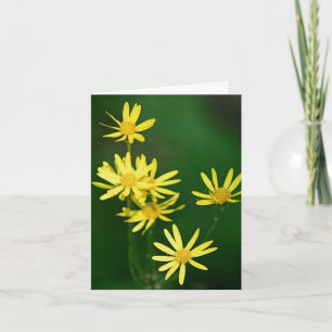 Softly Yellow Wildflowers Photography Note Card