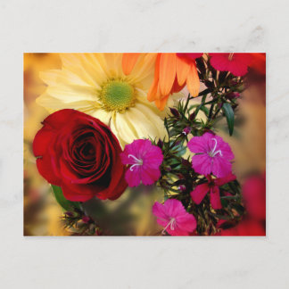 Softly Yours Postcard
