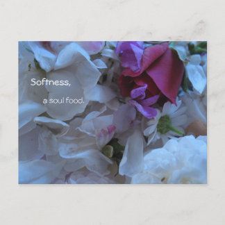 Softness, a soul food, postcard