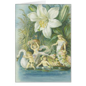 Softness - Fairies, Swan and Flower (Front)