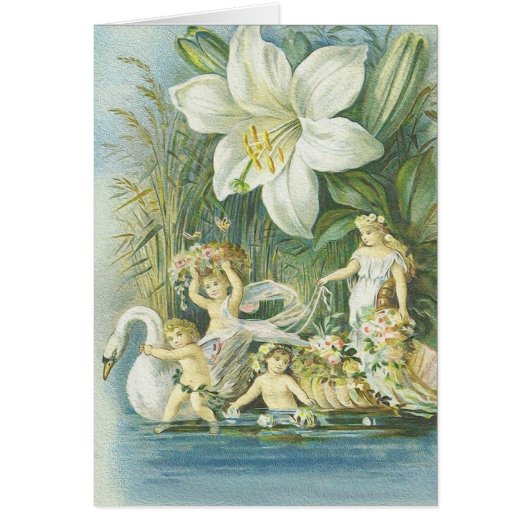Softness - Fairies, Swan and Flower Cards (Front)
