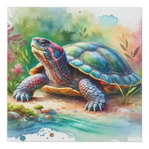 Softshell Turtle 221024AREF149 - Watercolor Faux Canvas Print