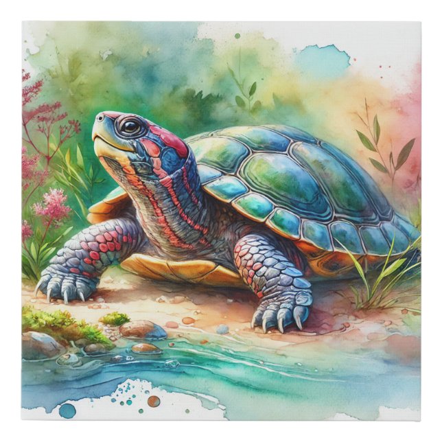 Softshell Turtle 221024AREF149 - Watercolor Faux Canvas Print (Front)