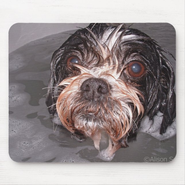Soggy Doggy Mousepad (Front)