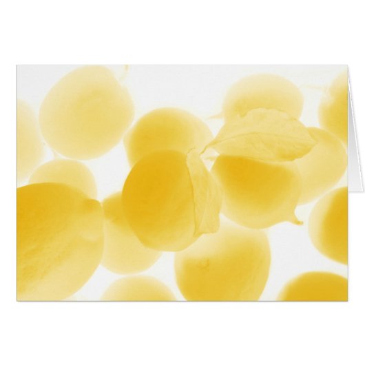sogno di limone cards (Front Horizontal)