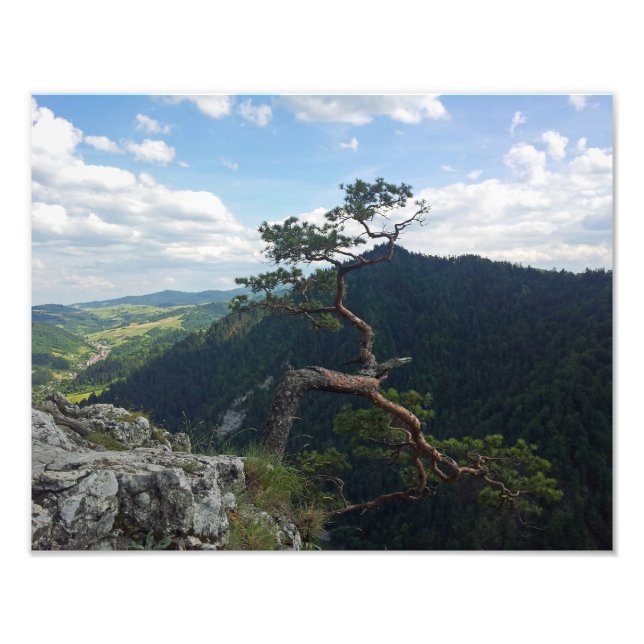 Sokolica, Pieniny Photo Print (Front)