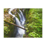 Sol Duc Falls I at Olympic National Park Postcard