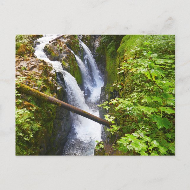 Sol Duc Falls I at Olympic National Park Postcard (Front)
