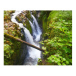 Sol Duc Falls I at Olympic National Park Poster