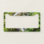 Sol Duc Falls II at Olympic National Park License Plate Frame