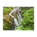 Sol Duc Falls II at Olympic National Park Postcard