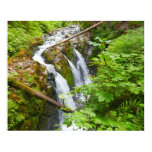 Sol Duc Falls II at Olympic National Park Poster