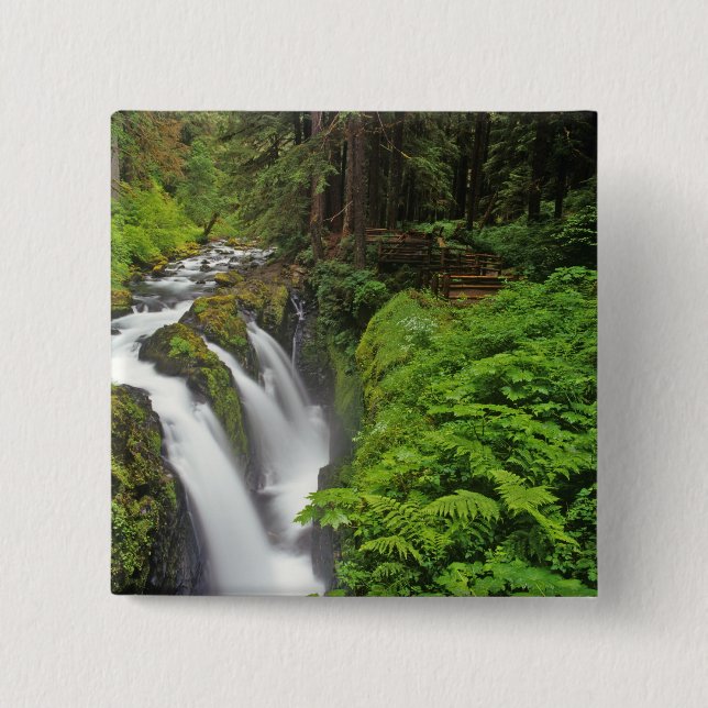 Sol Duc Falls in Olympic National Park in 2 Button (Front)