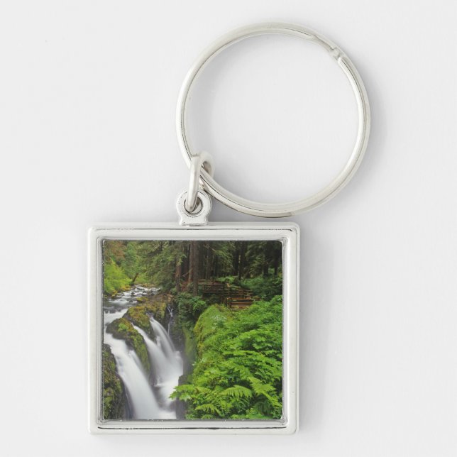 Sol Duc Falls in Olympic National Park in 2 Keychain (Front)