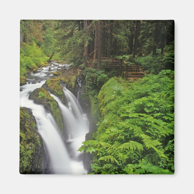 Sol Duc Falls in Olympic National Park in 2 Magnet (Front)