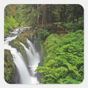 Sol Duc Falls in Olympic National Park in 2 Square Sticker