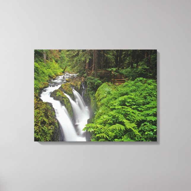 Sol Duc Falls in Olympic National Park in Canvas Print (Front)