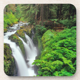 Sol Duc Falls in Olympic National Park in Drink Coaster
