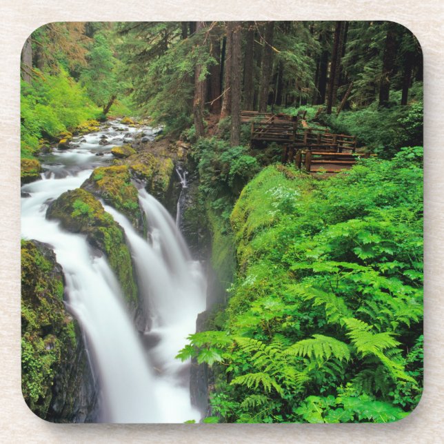 Sol Duc Falls in Olympic National Park in Drink Coaster (Front)
