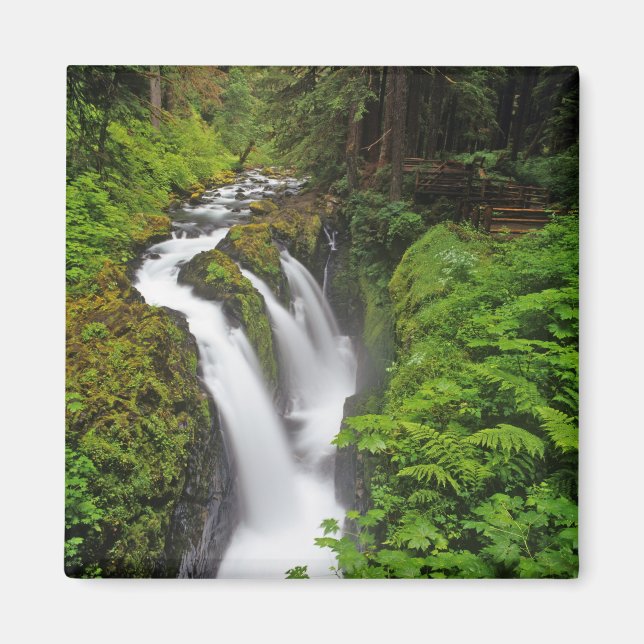 Sol Duc Falls in Olympic National Park in Magnet (Front)