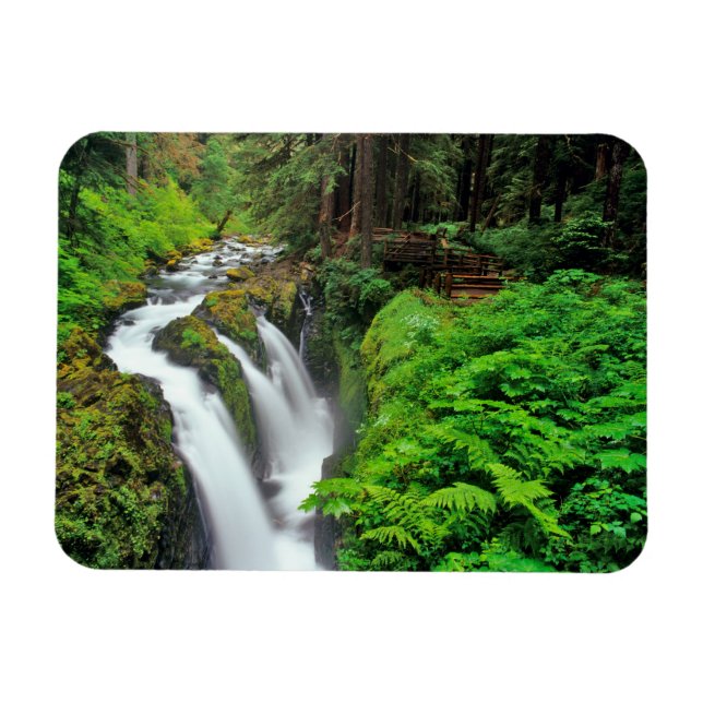 Sol Duc Falls in Olympic National Park in Magnet (Horizontal)