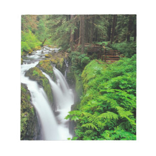 Sol Duc Falls in Olympic National Park in Notepad