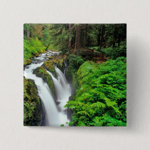 Sol Duc Falls in Olympic National Park in Pinback Button