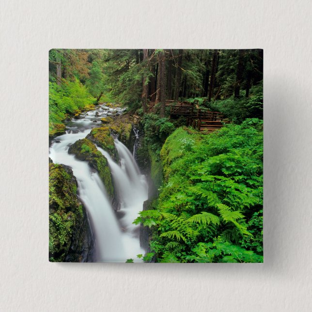 Sol Duc Falls in Olympic National Park in Pinback Button (Front)