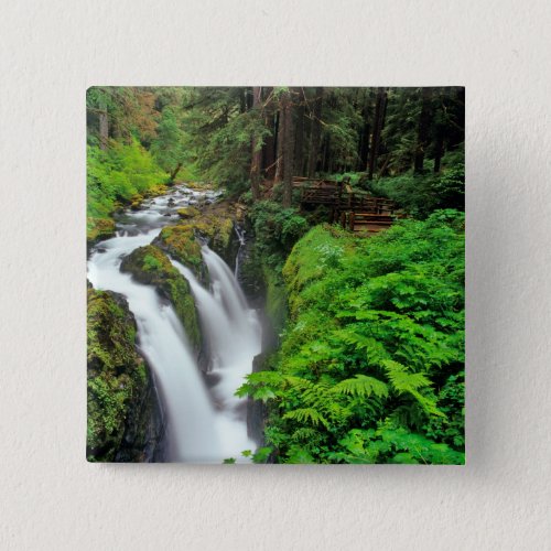 Sol Duc Falls in Olympic National Park in Pinback Button