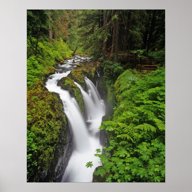 Sol Duc Falls in Olympic National Park in Poster (Front)