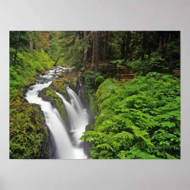 Sol Duc Falls in Olympic National Park in Poster (Front)