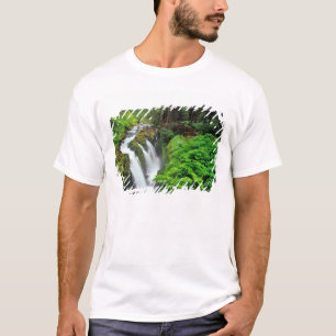 Sol Duc Falls in Olympic National Park in T-Shirt