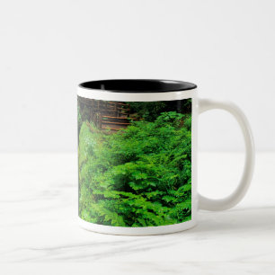 Sol Duc Falls in Olympic National Park in Two-Tone Coffee Mug