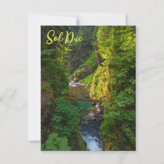 Sol Duc River Olympic National Park Washington Postcard