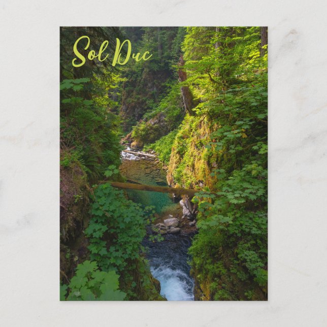 Sol Duc River Olympic National Park Washington Postcard (Front)
