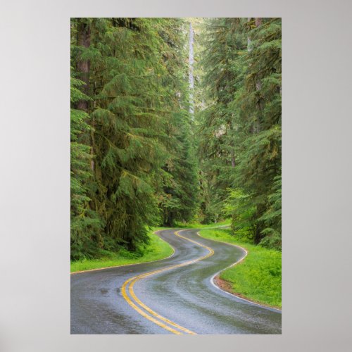 Sol Duc River Road through forest Poster