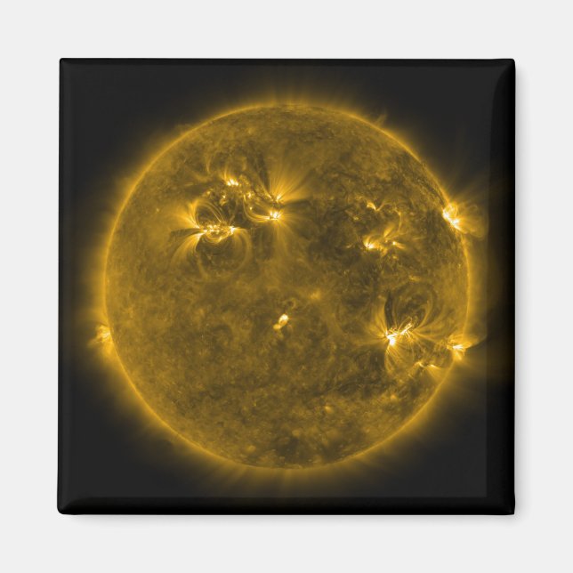 Solar activity on the Sun 4 Magnet (Front)