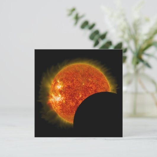 Solar Eclipse in Progress (Standing Front)