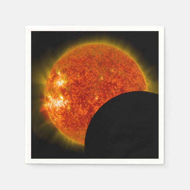 Solar Eclipse in Progress Napkins (Front)
