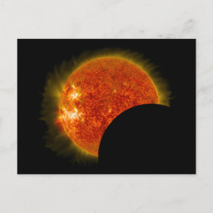 Solar Eclipse in Progress Postcard