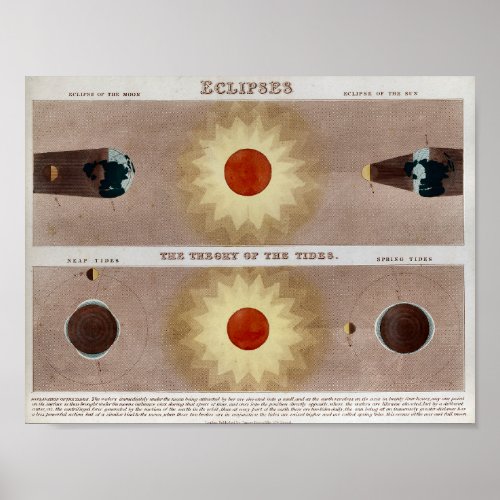 Solar Lunar Eclipses Print