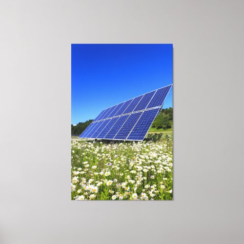 Solar Panels and green meadow Canvas Print