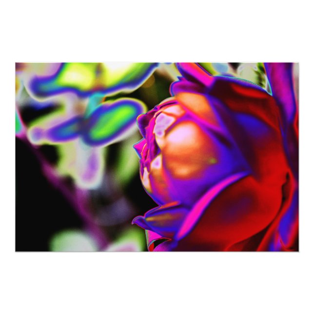 Solarized Rose by Shirley Taylor Photo Print (Front)