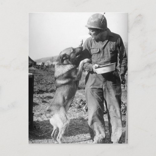 Soldier and His German Shepherd WWII Postcard