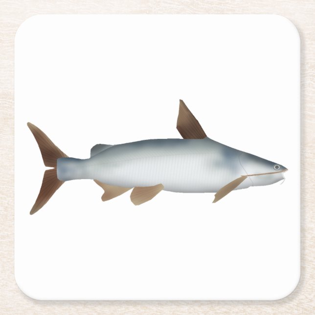Soldier Catfish Square Paper Coaster (Front)