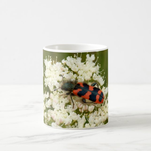 Soldier or Checkered Beetle Bug Mug (Center)