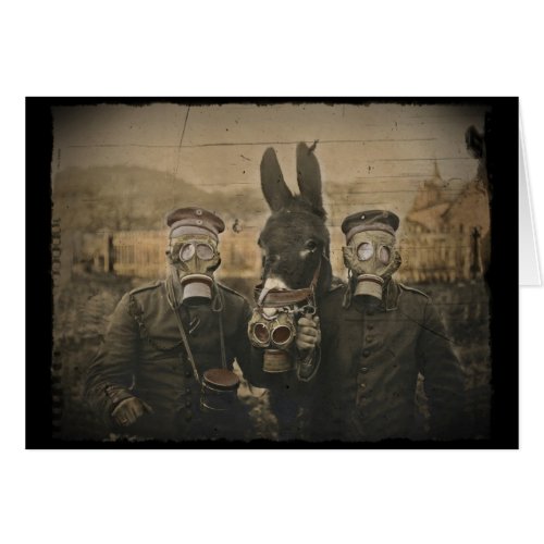 Soldiers Donkey and Gas Masks