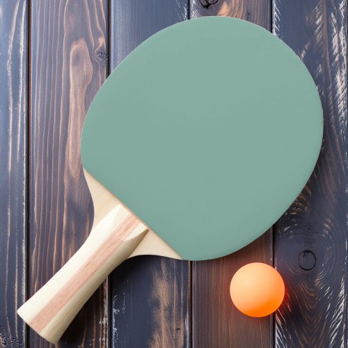 Solid Aqua Reef Color Ping Pong Paddle