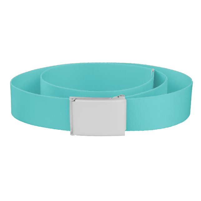 Solid aqua sky turquoise belt (Coil)