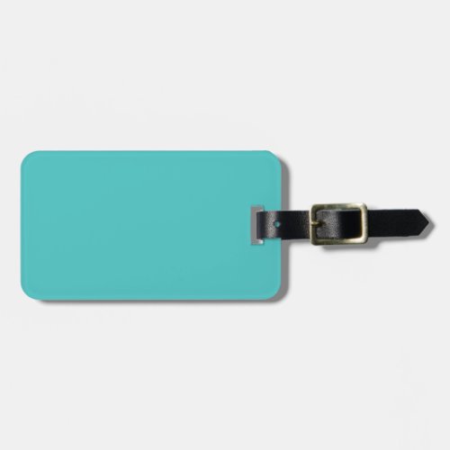 Solid aqua turquoise luggage tag